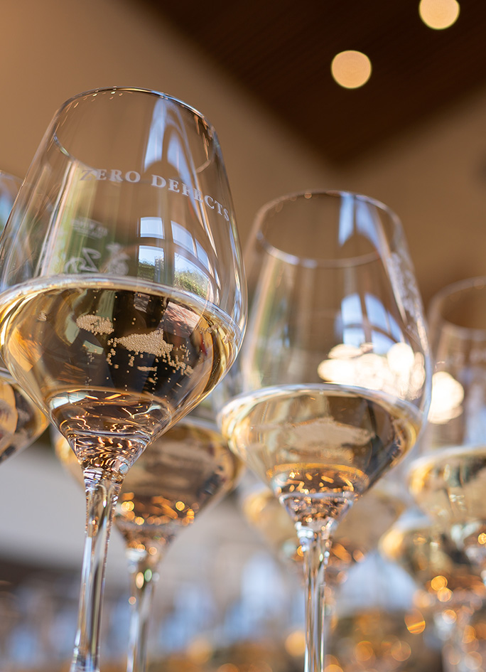 Looking up at the bottom of ZD wine glasses full of sparkling wine from below.